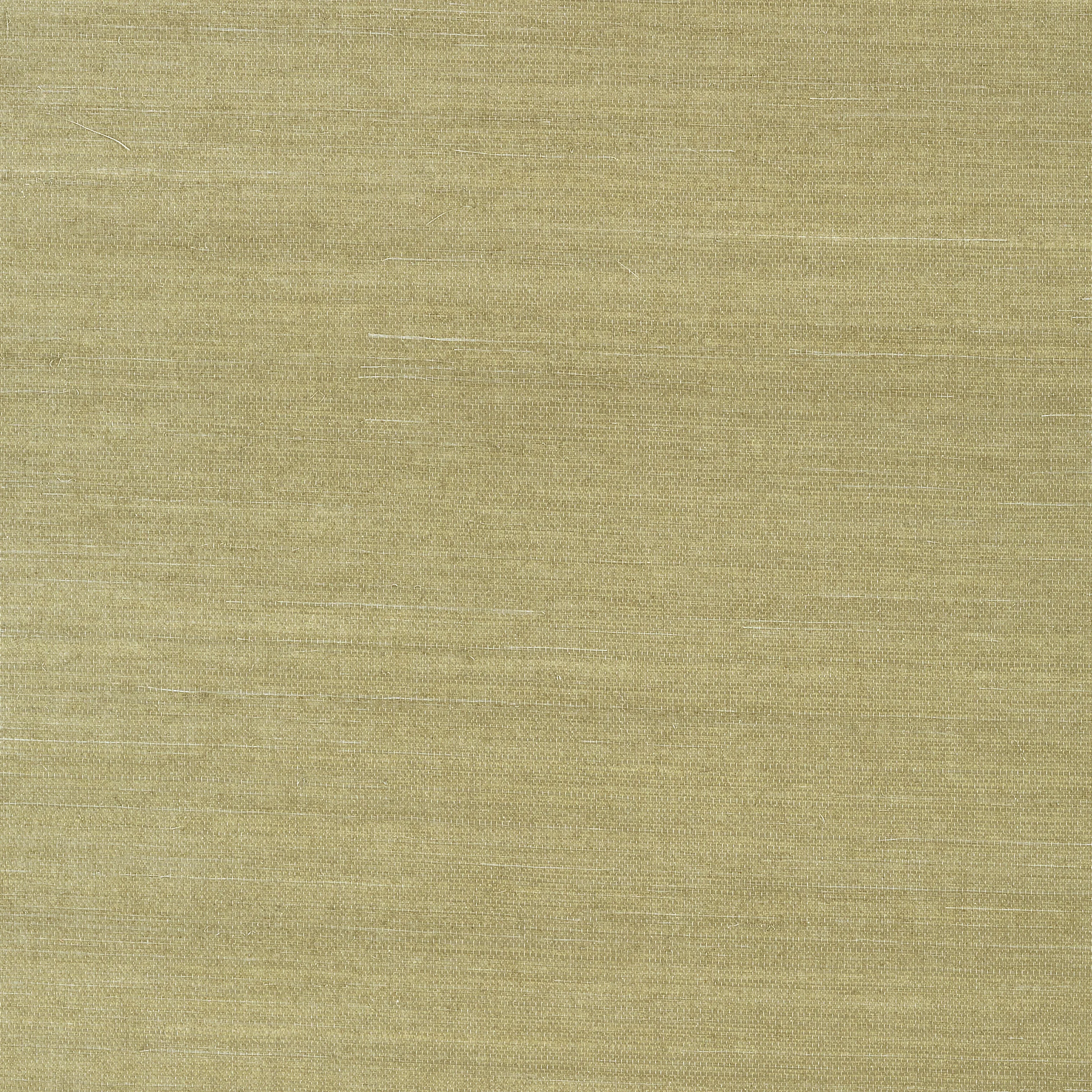 Thibaut SHANG EXTRA FINE SISAL Wallpaper in Moss (T41166) Thibaut SHANG EXTRA FINE SISAL wallpaper in Moss