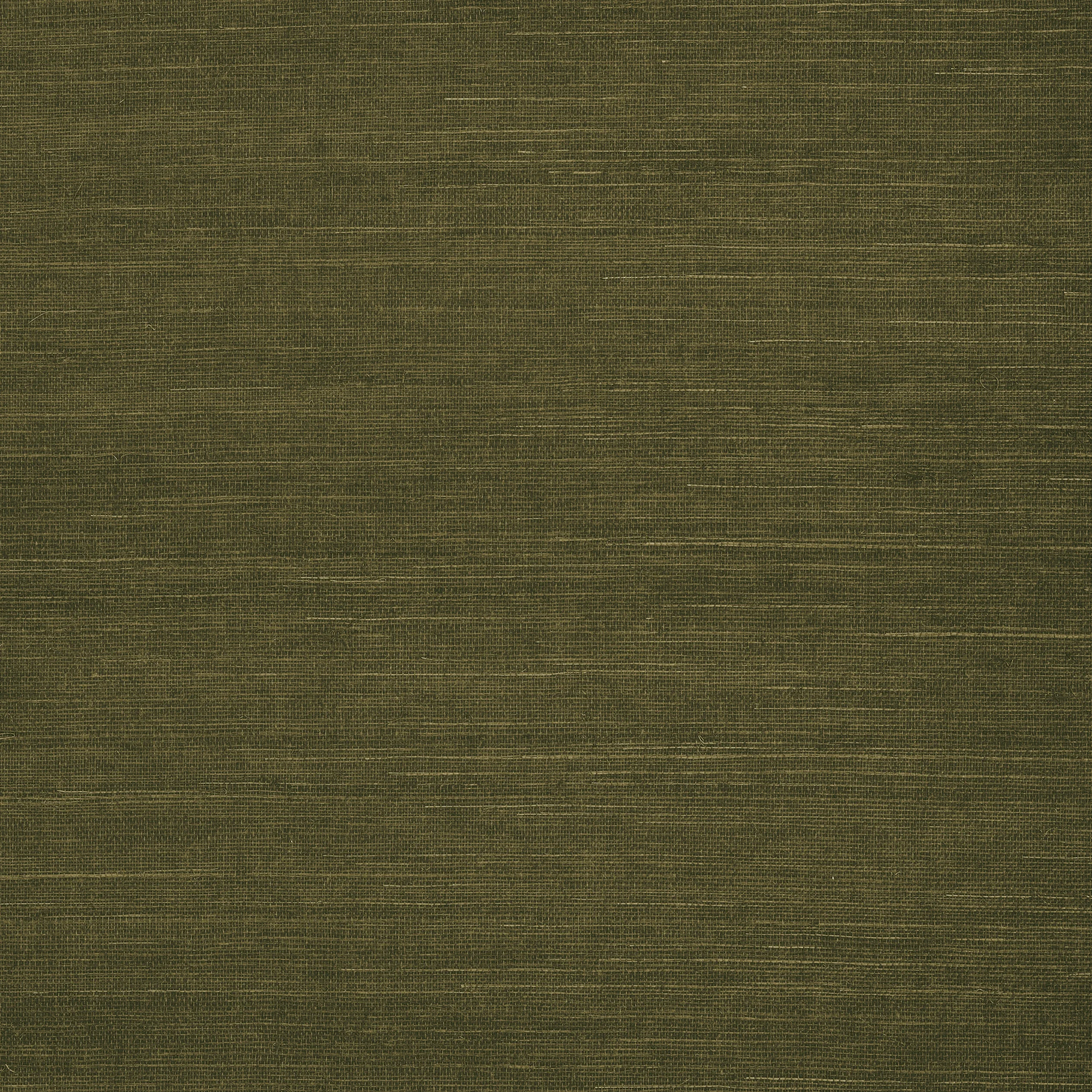 Thibaut SHANG EXTRA FINE SISAL Wallpaper in Avocado (T5027) Thibaut SHANG EXTRA FINE SISAL Avocado Grasscloth Resource Wallpaper T5027