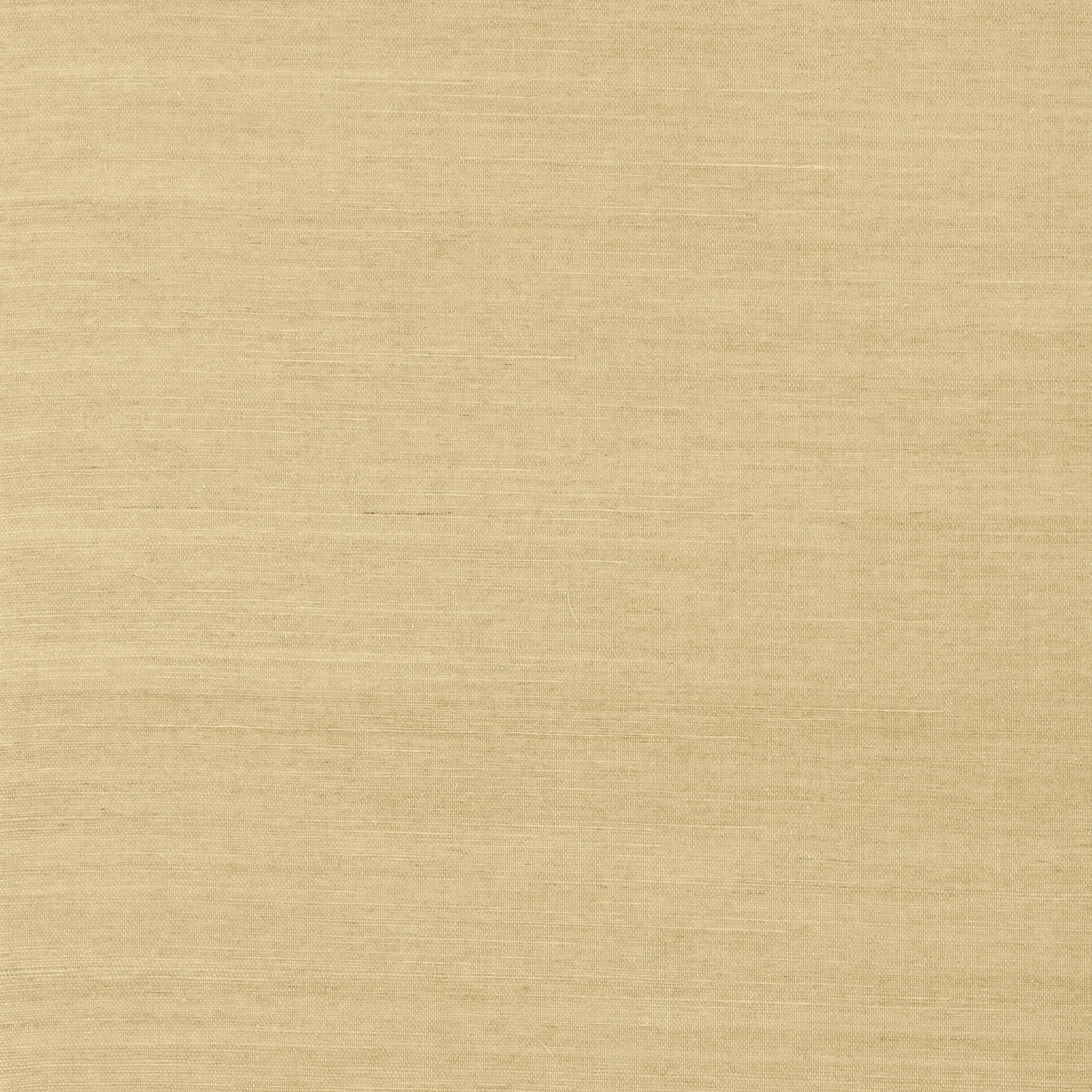 Thibaut SHANG EXTRA FINE SISAL Wallpaper in Taupe (T5031) Thibaut SHANG EXTRA FINE SISAL Taupe Grasscloth Resource Wallpaper T5031