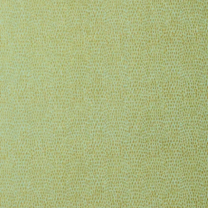Thibaut CHAMELEON wallpaper in Patina