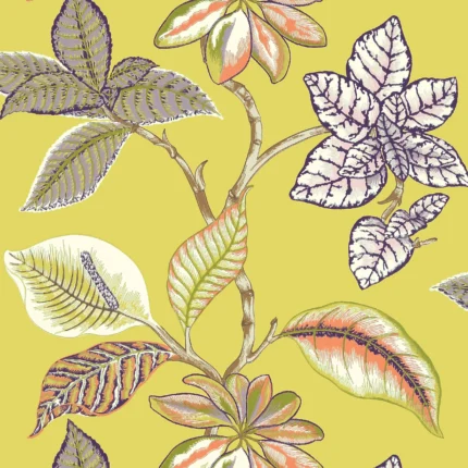 Thibaut LUCALA wallpaper in Citron