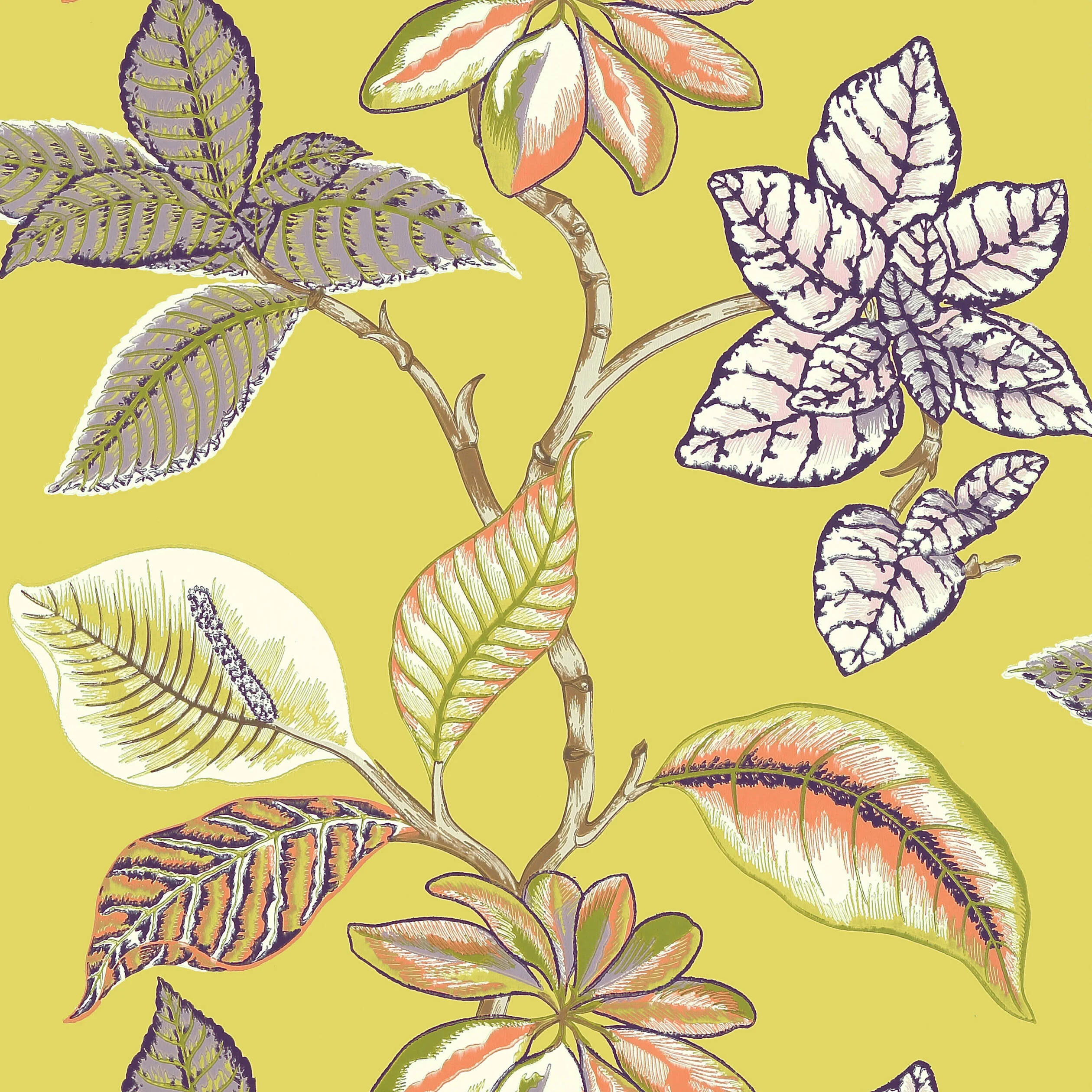 Thibaut LUCALA wallpaper in Citron