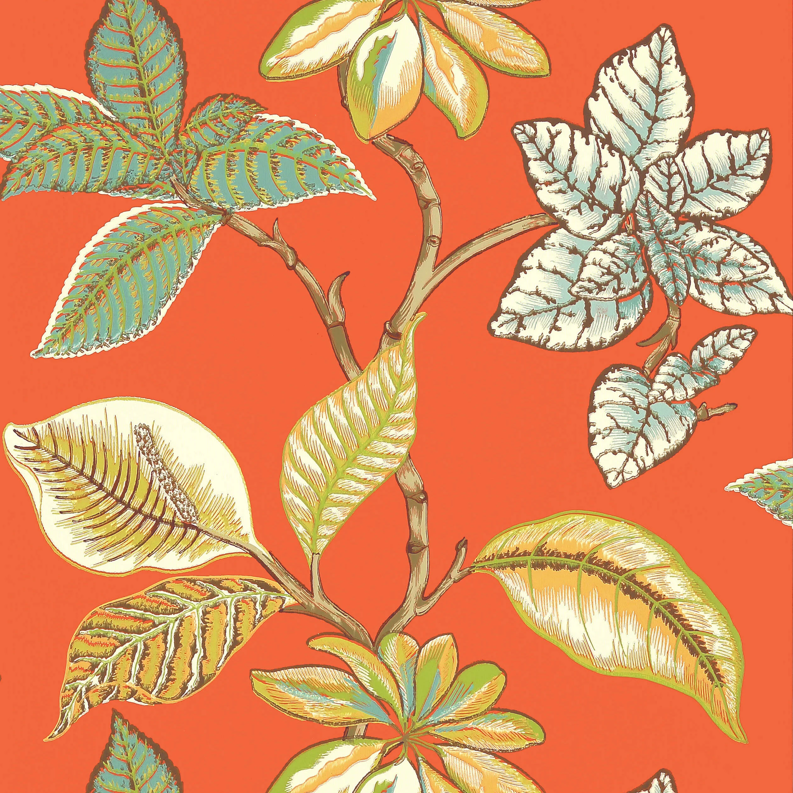 Thibaut LUCALA wallpaper in Coral