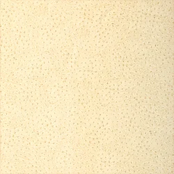 Thibaut NATURAL OSTRICH wallpaper in Cream