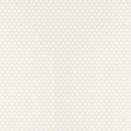 Thibaut BIJOU wallpaper in Beige
