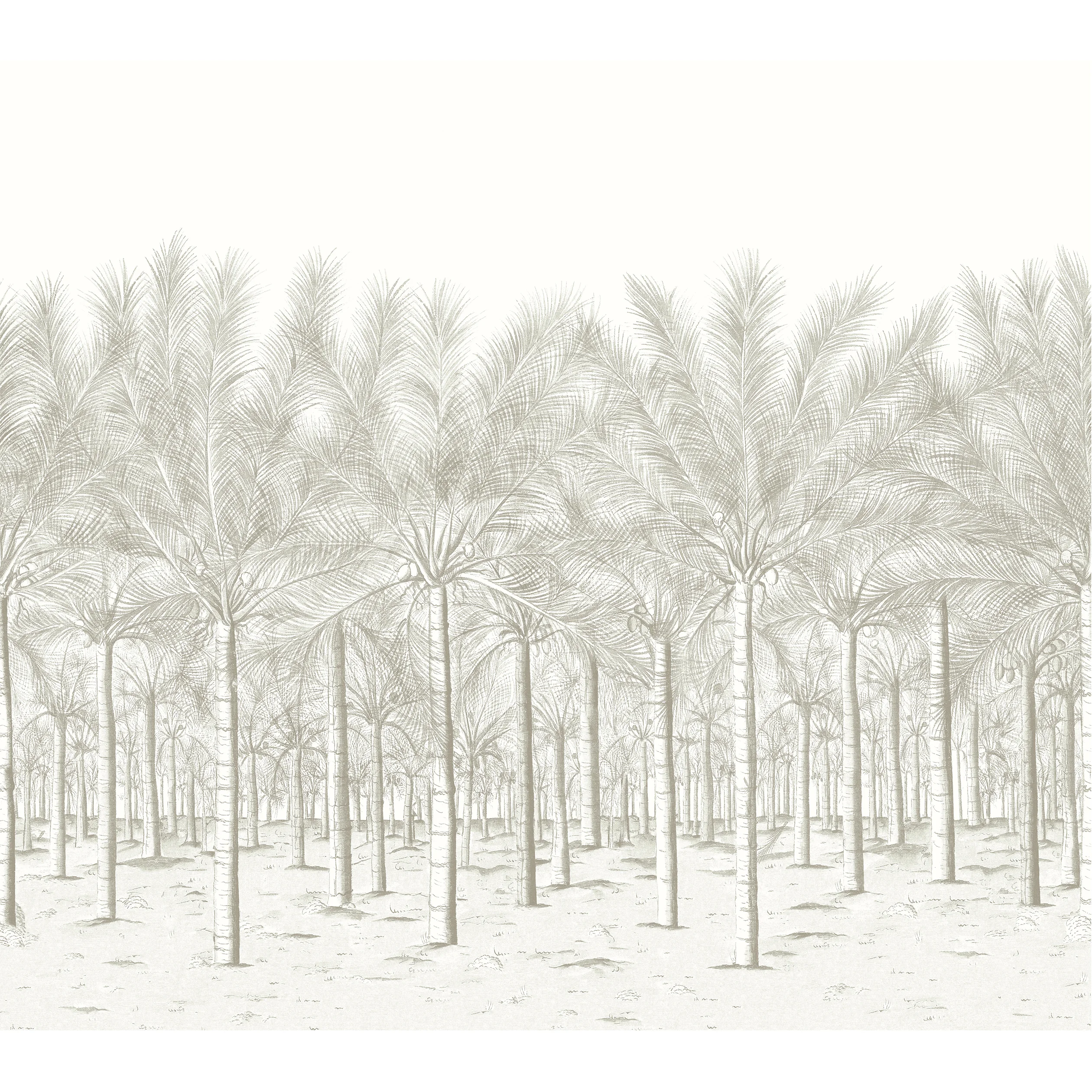 Thibaut PALM GROVE MURAL Wallpaper in Beige (TM13948) Thibaut PALM GROVE MURAL Beige Wallpaper TM13948