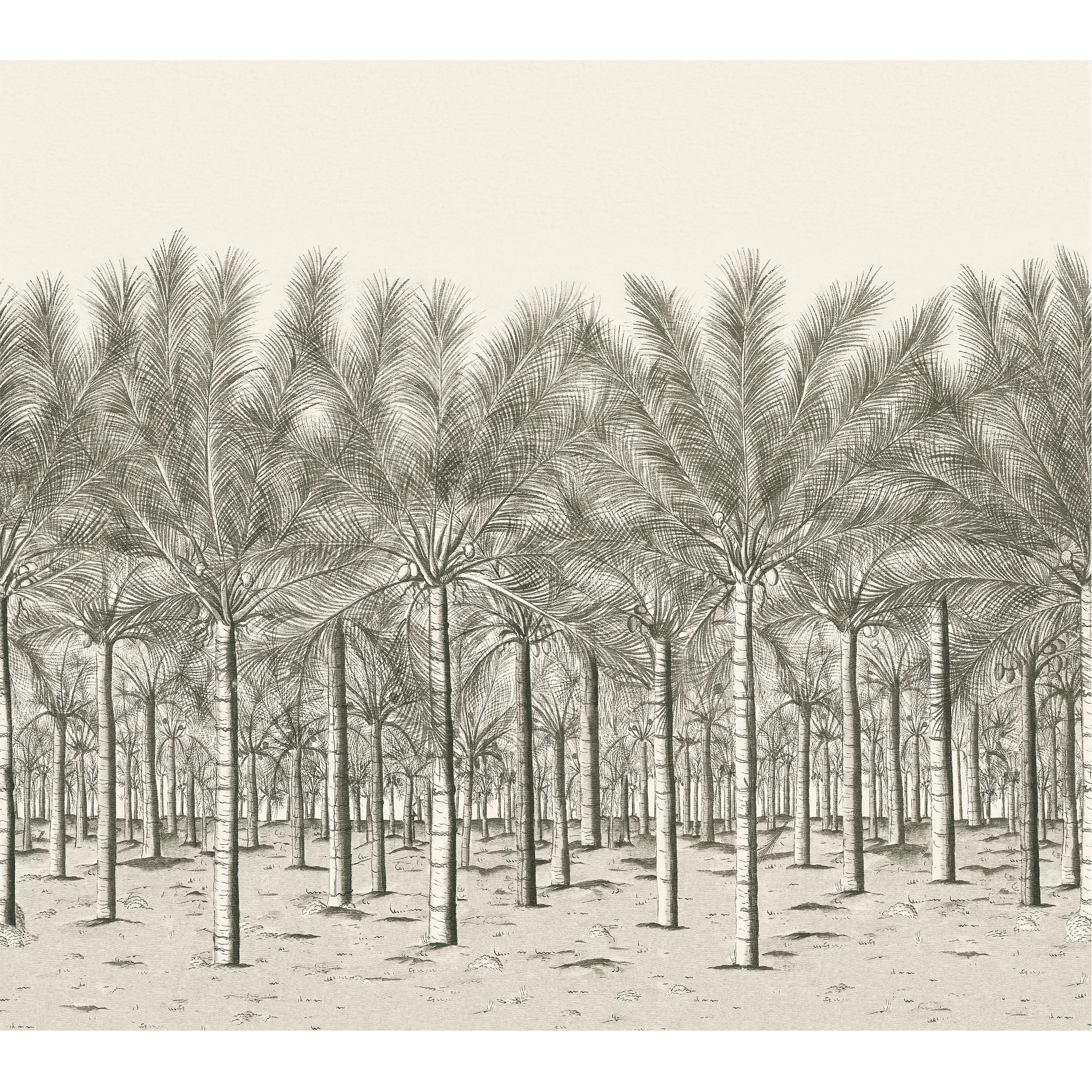 Thibaut PALM GROVE MURAL Wallpaper in Black Tea (TM13950) Thibaut PALM GROVE MURAL Black Tea Wallpaper TM13950
