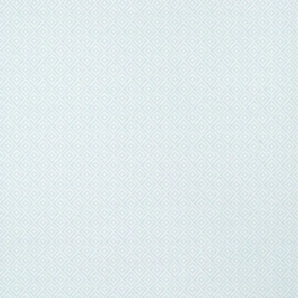 Thibaut RIMBA WIDE WIDTH wallpaper in Ice