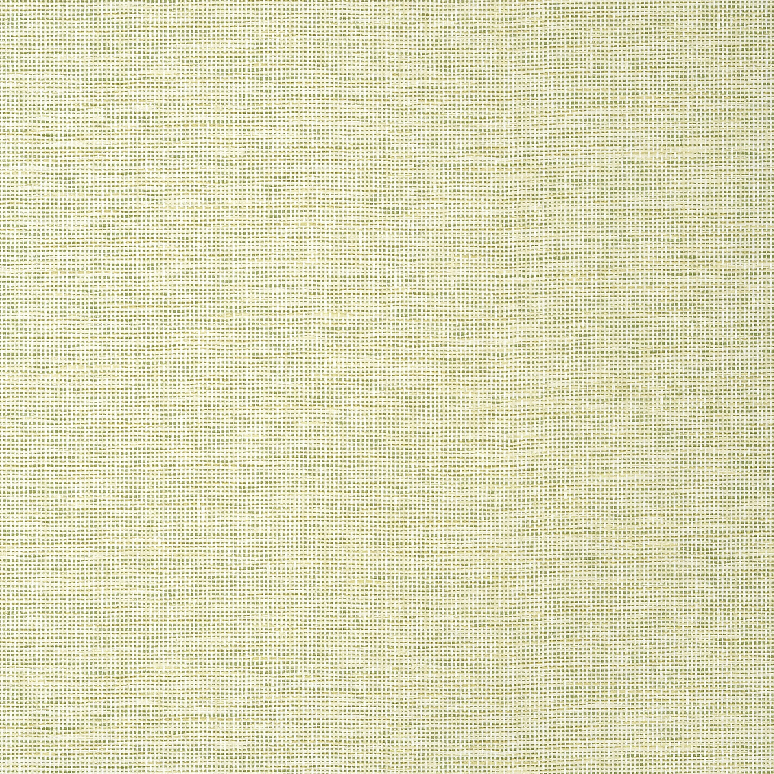 Thibaut SPIRO WIDE WIDTH Wallpaper in Spring (TWW14585) Thibaut SPIRO WIDE WIDTH wallpaper in Spring