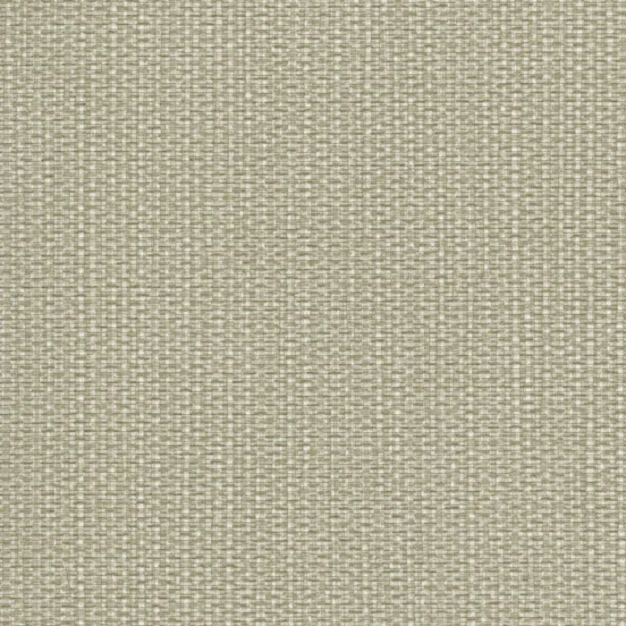 Arundo Khaki 67747 wallcovering swatch