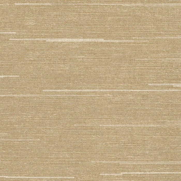 Axis II Champagne 1920-53 wallcovering swatch