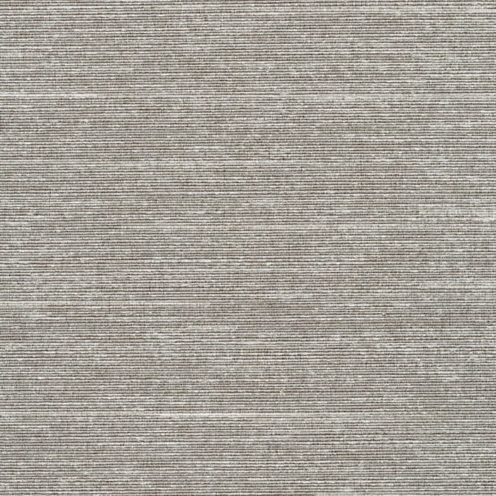 Axis II Eclipse 1920-59 wallcovering swatch