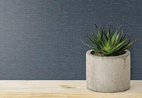 Cross the Line wallcovering