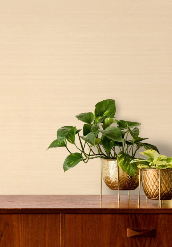 Silk Noil wallcovering, shown in TAK-EA03-01