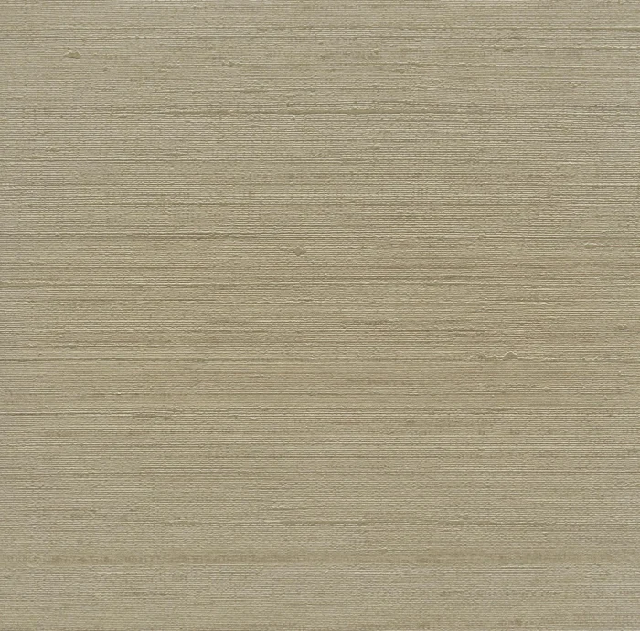 Silkx  67004 wallcovering swatch