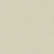 Timeless Neutral