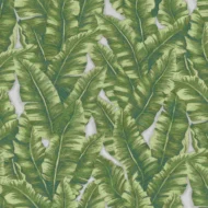 Green Embossed