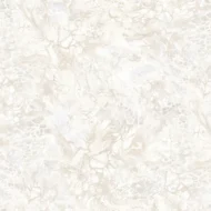 Clean Aesthetic