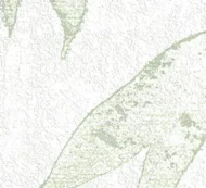 White Embossed